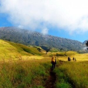 sabana-gunung-rinjani-via-jalur-sembalun